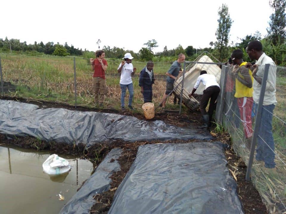 Nuovo Natural Fish Pond