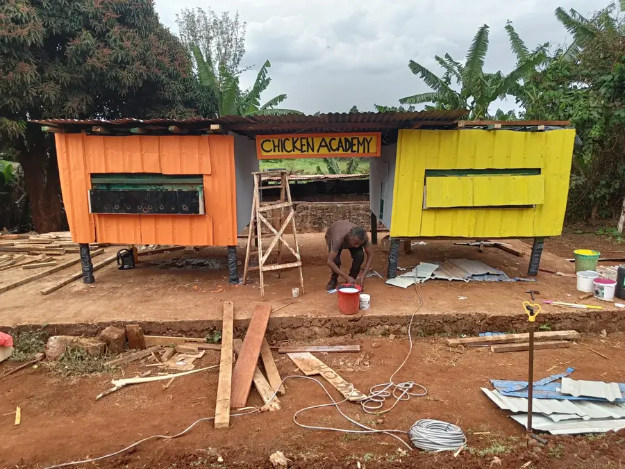 La costruzione della Chicken Academy nel villaggio in Kenya