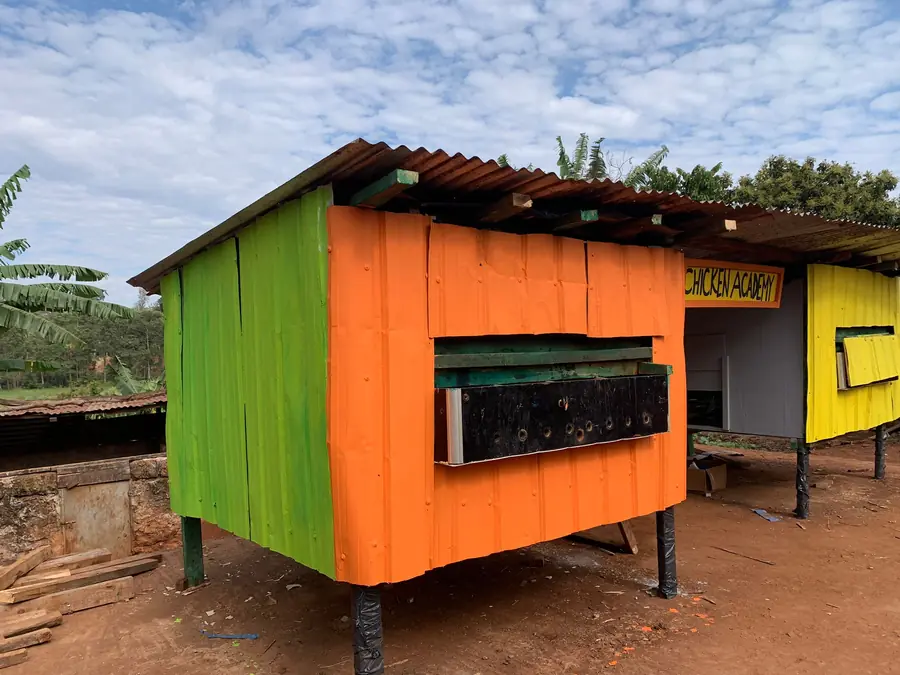 Il pollaio colorato della Chicken Academy nel villaggio Bimbi del Meriggio